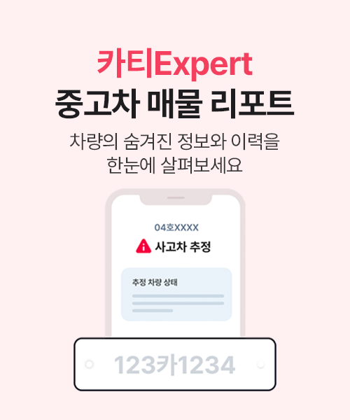 카티Expert, 오프라인 진단 전, 온라인에서 먼저 확인하세요.